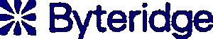 Byteridge logo